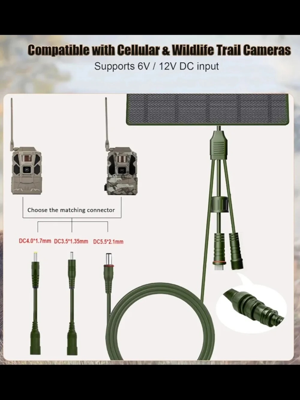 Solar Panel Kit with Mount and Cables